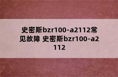 史密斯bzr100-a2112常见故障 史密斯bzr100-a2112